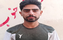 مهرشاد محمدی