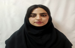 نگین زوله ای