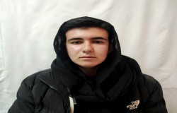 سارا مردانی