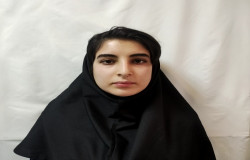 هستی فرهمند چرخانه