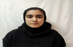 مهدیس مرادلو