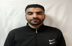 حامد دالوند