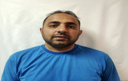 مجتبی صولتی