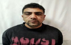 محمد نقوی همراه