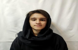 ترلان حشمتی