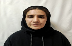 شمسی نظری بهار