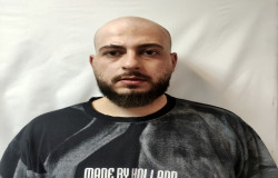 امیرمهدی توکلی دارستانی