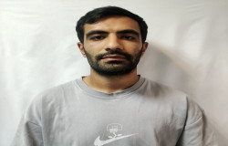 محمد امین کرد