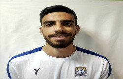 رضا گونه فراهانی