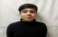 محمدمهدی سلیمانی