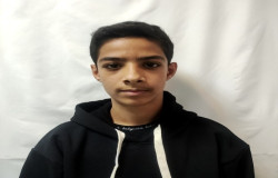 آرمین علیزاده