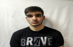 پویا بابایی