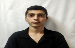 آرتین نوبهار