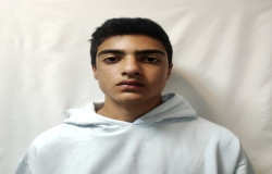 ایلیا ولی زاده