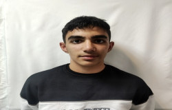 پارسا فامرینی