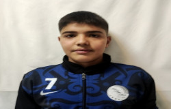 امیر محسن محمدی یاجلو