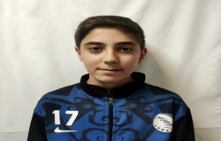 آریا محمدزاده