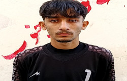 مبین مولودی