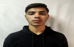 آرمین رادنیا