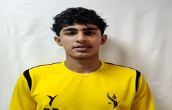 محمدحسین محمودی