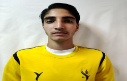 حامد مردانی