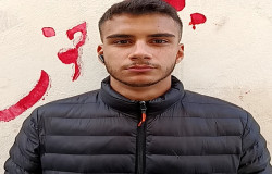 محمد مهدی دژکامه