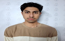 شنتیا پژوهی الموتی