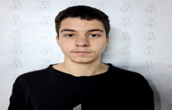 پارسا بلوری