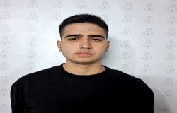 شروین محمدی