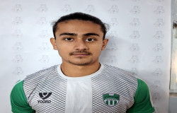 محمد پارسا رستمی