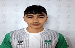 امیر مهدی صفی خانی