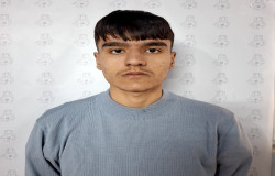 محمدامین محمودی