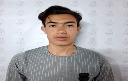 ابوالفضل لطفی