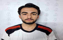 آراد حامدی کیا