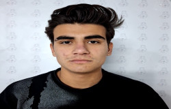 مرتضی صفری