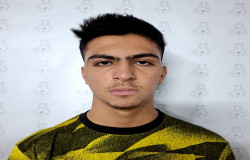 محمد امین عمرائی