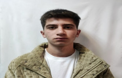 پارسا اللهوردی پیرنی