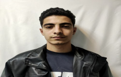 همایون ارین