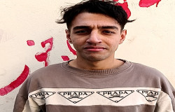 محمدرضا جعفری