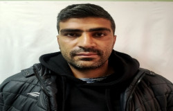 پوریا نوروزی