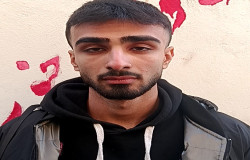 سیامک شمس محمدی