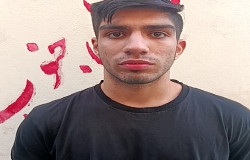 ماهان ماجدی