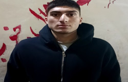 حمیدرضا همتی