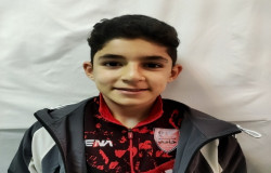 علیرضا فرهنگی