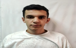 پوریا محمدی