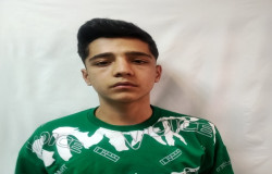 سید مهدی حسینی پویا