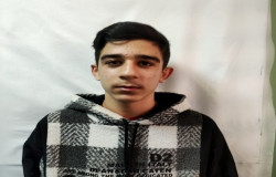 علی اصغر سرداری