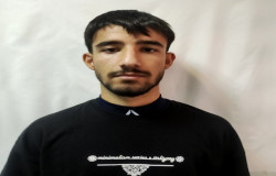 امیرعلی قربانی