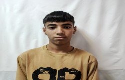 امیرعلی پناهی