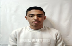 مانی حاجی زاده